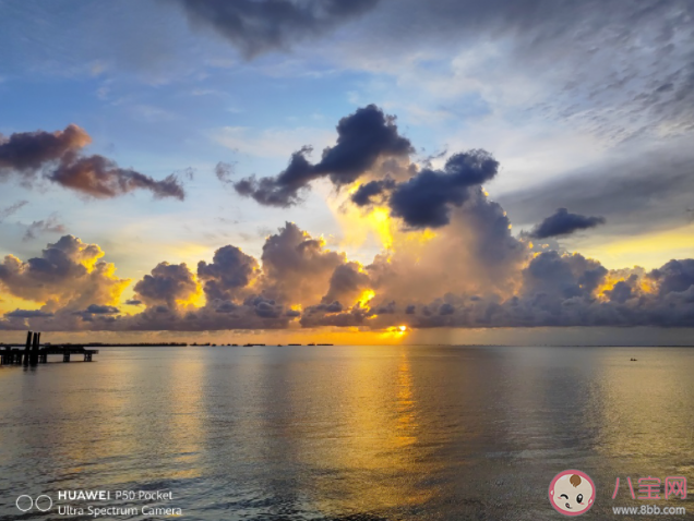 你用手機拍照會開水印嗎 拍照要不要用水印 你用手機拍照會開水印嗎 拍照要不要用水印