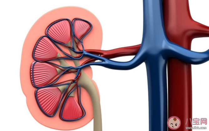 尿路結(jié)石可以自己排出嗎 結(jié)石從來沒有痛過就不需要治療嗎 尿路結(jié)石可以自己排出嗎 結(jié)石從來沒有痛過就不需要治療嗎