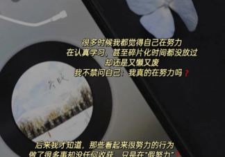 怎么看待生活中的假努力 為什么很多人都是假努力