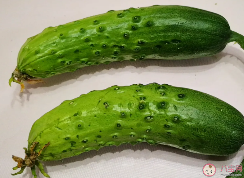 長得彎曲的黃瓜能吃嗎 螞蟻莊園7月16日答案最新 長得彎曲的黃瓜能吃嗎 螞蟻莊園7月16日答案最新