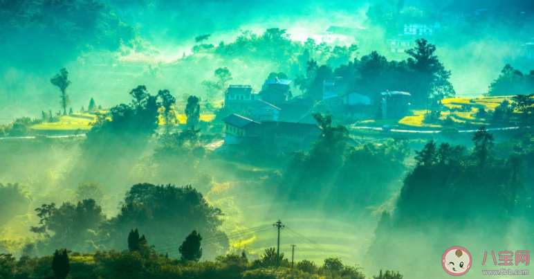 周杰倫《紅顏如霜》歌詞是什么 紅顏如霜完整版歌詞內容