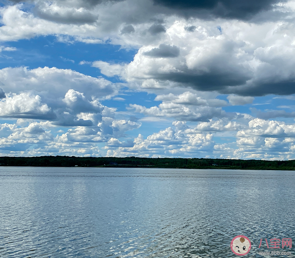 周杰倫新歌《倒影》歌詞是什么 倒影完整版歌詞內(nèi)容