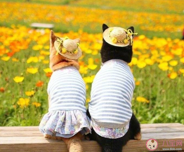 怎么對待另一半的壞情緒 另一半情緒不好的時候怎么辦 怎么對待另一半的壞情緒 另一半情緒不好的時候怎么辦