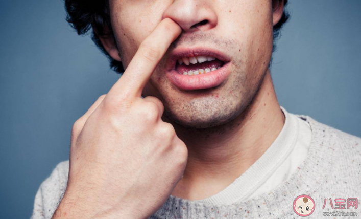 為什么不應該挖鼻子 經常挖鼻孔的壞處 為什么不應該挖鼻子 經常挖鼻孔的壞處