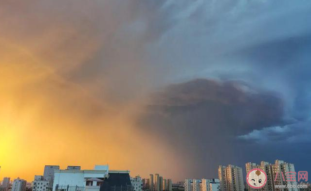 此次高溫影響范圍有多大 為什么極端高溫越來越多