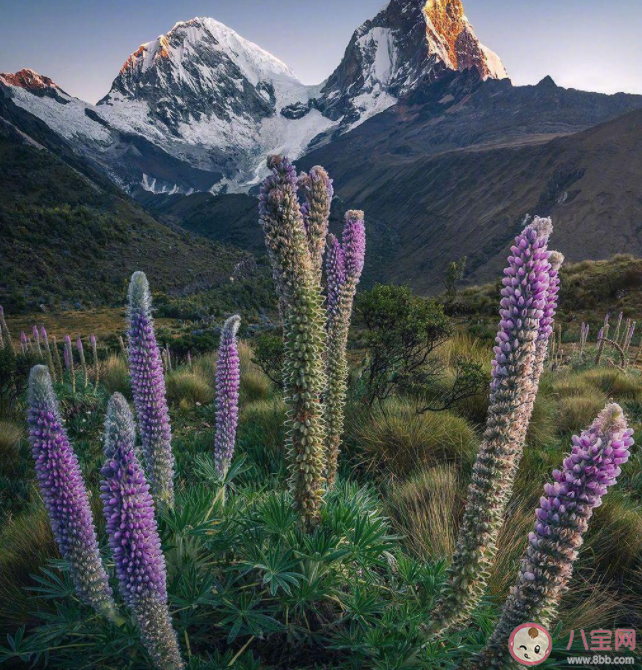 長大后有哪些后知后覺的事 哪些事情是突然間明白的 長大后有哪些后知后覺的事 哪些事情是突然間明白的