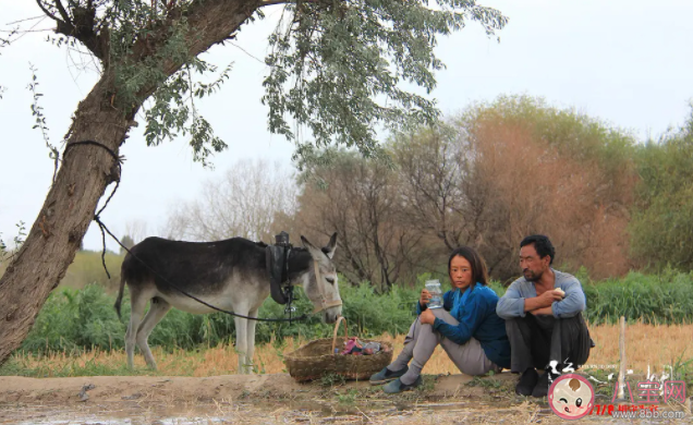 《隱入塵煙》是治愈系電影嗎 《隱入塵煙》講的是什么故事