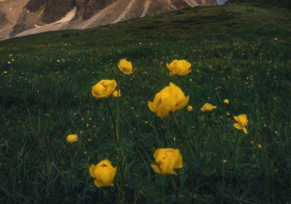 長大后有哪些后知后覺的事 哪些事情是突然間明白的