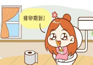 女性排卵障礙可以做試管嬰兒嗎 做試管嬰兒之前要做哪些準備