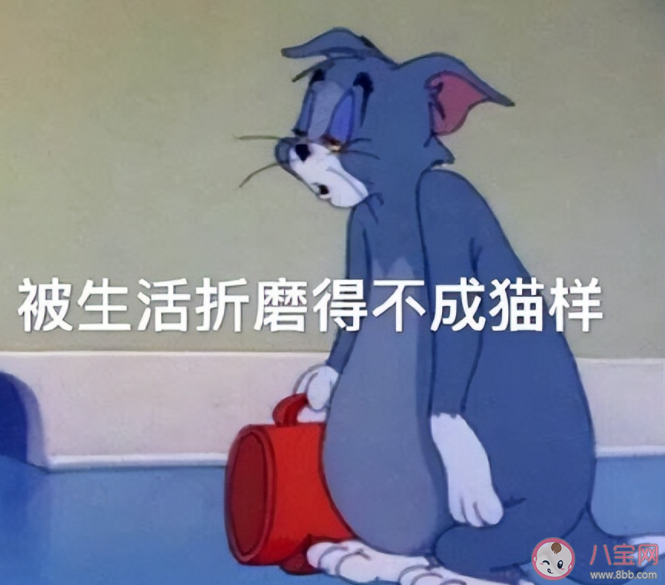 如何應(yīng)對催婚焦慮 大齡青年如何看待婚姻 如何應(yīng)對催婚焦慮 大齡青年如何看待婚姻