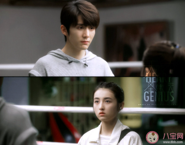《天才基本法》裴之是穿越的嗎 《天才基本法》人物關系圖