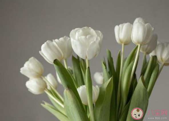 對伴侶特失望該怎么辦 失望過后要離婚嗎 對伴侶特失望該怎么辦 失望過后要離婚嗎