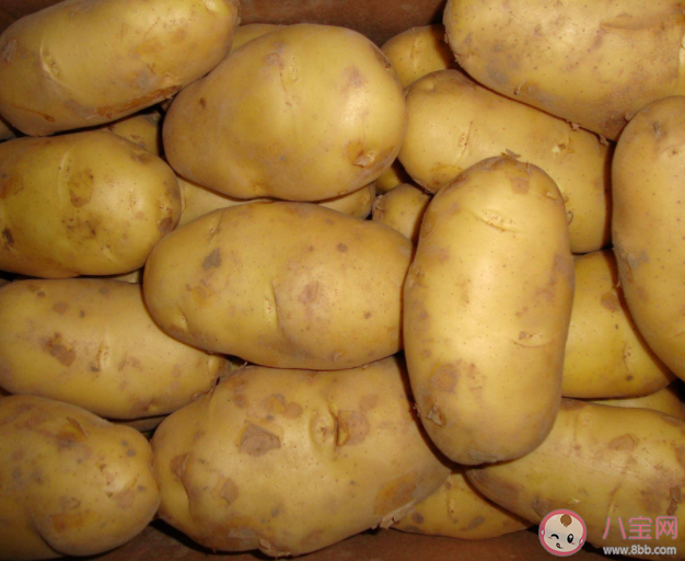 土豆放冰箱會中毒嗎 土豆怎么保存不發芽 土豆放冰箱會中毒嗎 土豆怎么保存不發芽