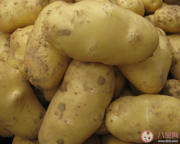 土豆放冰箱會中毒嗎 土豆怎么保存不發芽 土豆放冰箱會中毒嗎 土豆怎么保存不發芽