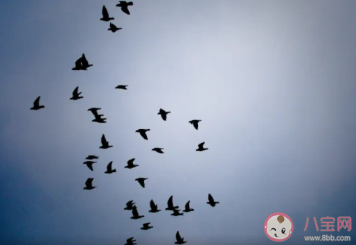 以下哪句詩是暑天的真實寫照 螞蟻莊園7月23日答案介紹