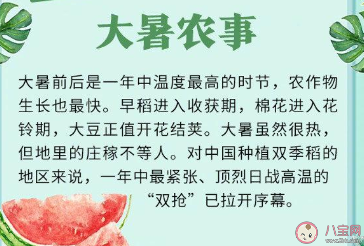 螞蟻莊園夏季的最后一個(gè)節(jié)氣是什么 小課堂7月23日答案最新 螞蟻莊園夏季的最后一個(gè)節(jié)氣是什么 小課堂7月23日答案最新