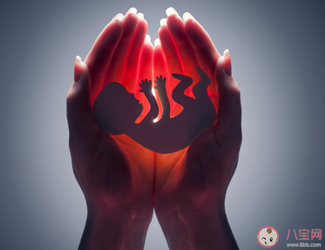 胎兒會感覺孤單嗎 胎兒最喜歡在孕婦肚子里做什么