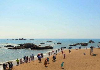 海南三亞為什么被稱為東北城市 為什么東北人都愛去海南