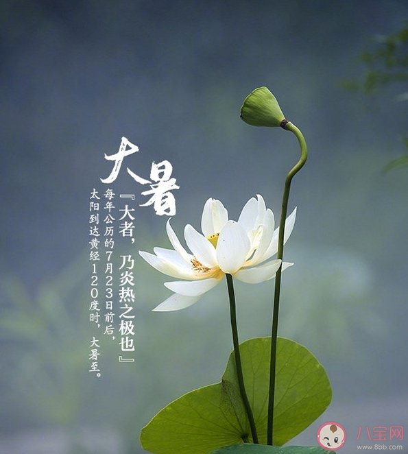 2022大暑節氣有哪些習俗 大暑節氣飲食上要注意什么