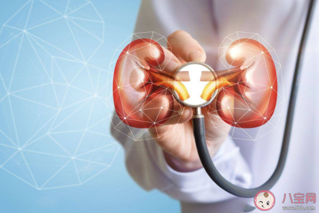 夏季為什么尿路結(jié)石高發(fā) 尿路結(jié)石如何預(yù)防