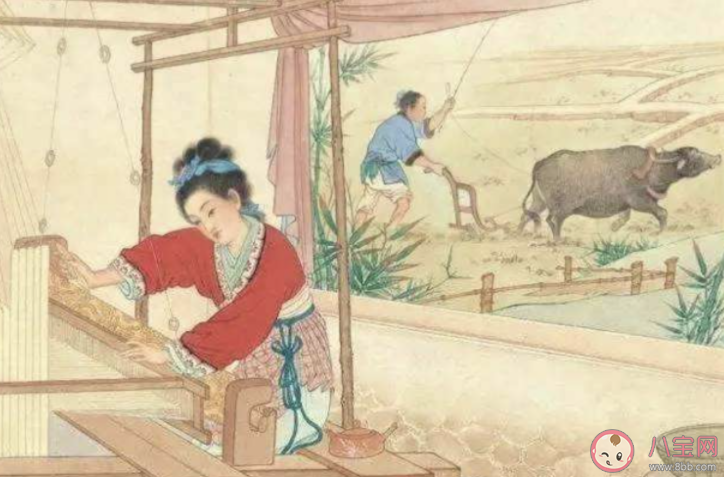 《詩經》中的七月流火指的是 螞蟻莊園7月26日答案介紹 《詩經》中的七月流火指的是 螞蟻莊園7月26日答案介紹