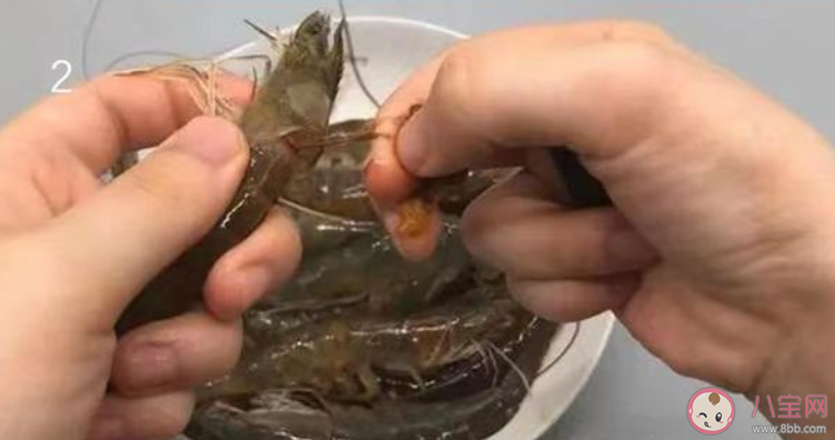 蝦線實際上是蝦的什么 螞蟻莊園7月26日答案最新