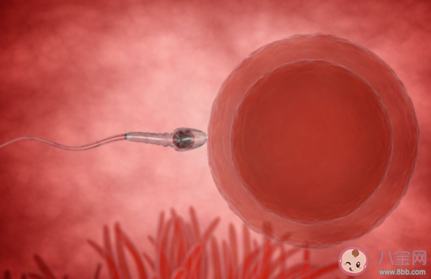 造成空孕囊的原因有哪些 如何預防空孕囊的發生