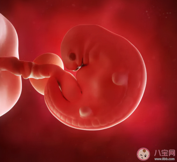 造成空孕囊的原因有哪些 如何預防空孕囊的發生