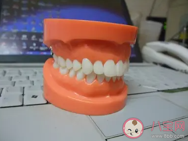 年紀大了牙齒會自然掉光嗎 螞蟻莊園7月27日答案最新 年紀大了牙齒會自然掉光嗎 螞蟻莊園7月27日答案最新