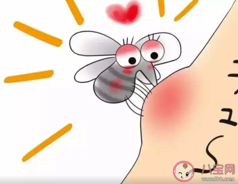 蚊子包是怎樣產(chǎn)生的 被蚊子咬了怎么止癢 蚊子包是怎樣產(chǎn)生的 被蚊子咬了怎么止癢