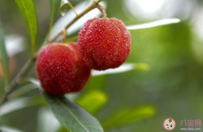 望梅止渴和耳濡目染哪個成語表示的是條件反射 螞蟻莊園7月27日答案