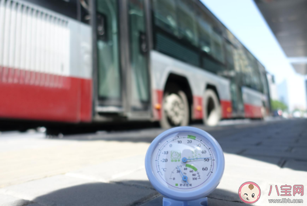 高溫天封閉的車(chē)內(nèi)究竟有多危險(xiǎn) 高溫下車(chē)內(nèi)放杯水能降溫嗎