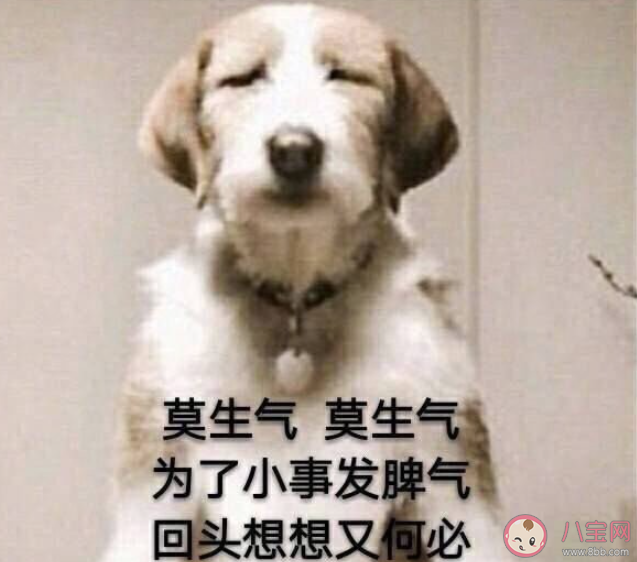 生氣的4個好處你知道嗎 女生為什么不能經(jīng)常生氣 生氣的4個好處你知道嗎 女生為什么不能經(jīng)常生氣