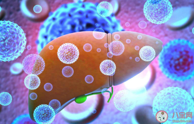 戊肝是吃出來的肝炎嗎 如何預(yù)防戊肝病毒 戊肝是吃出來的肝炎嗎 如何預(yù)防戊肝病毒