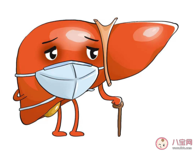 戊肝是吃出來的肝炎嗎 如何預(yù)防戊肝病毒 戊肝是吃出來的肝炎嗎 如何預(yù)防戊肝病毒