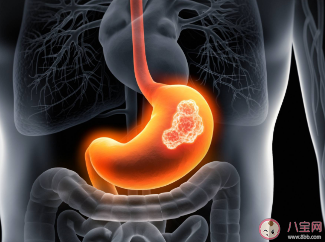 戊肝的高危人群有哪些 戊肝病毒有什么特點 戊肝的高危人群有哪些 戊肝病毒有什么特點