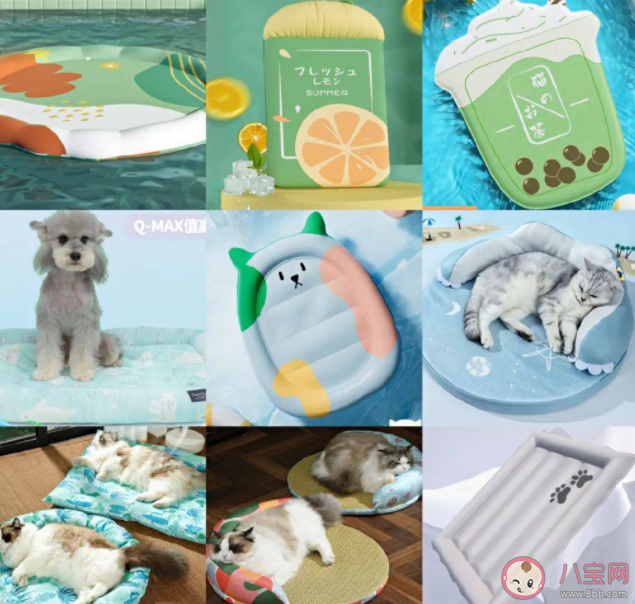 高溫天該如何給寵物消暑 夏天該怎樣照顧寵物