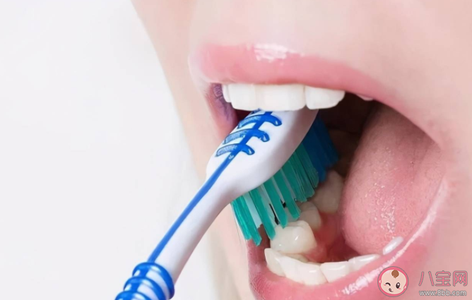 早晨不刷牙就吃東西等于吃細菌嗎 一天不刷牙口腔內(nèi)會滋生多少細菌