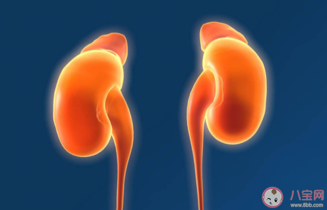 頻繁夜尿是腎功能出問題了嗎 夜尿癥發病原因是什么 頻繁夜尿是腎功能出問題了嗎 夜尿癥發病原因是什么