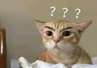 真的有靈魂伴侶嗎 怎樣才算是靈魂伴侶