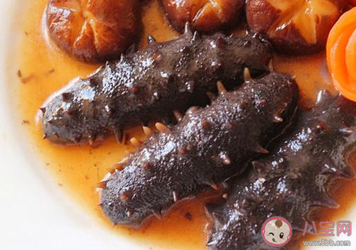 夏日炎炎猜一猜哪種動物會進(jìn)入夏眠 螞蟻莊園7月31日答案介紹 夏日炎炎猜一猜哪種動物會進(jìn)入夏眠 螞蟻莊園7月31日答案介紹