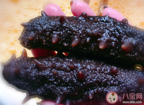 夏日炎炎猜一猜哪種動物會進(jìn)入夏眠 螞蟻莊園7月31日答案介紹 夏日炎炎猜一猜哪種動物會進(jìn)入夏眠 螞蟻莊園7月31日答案介紹