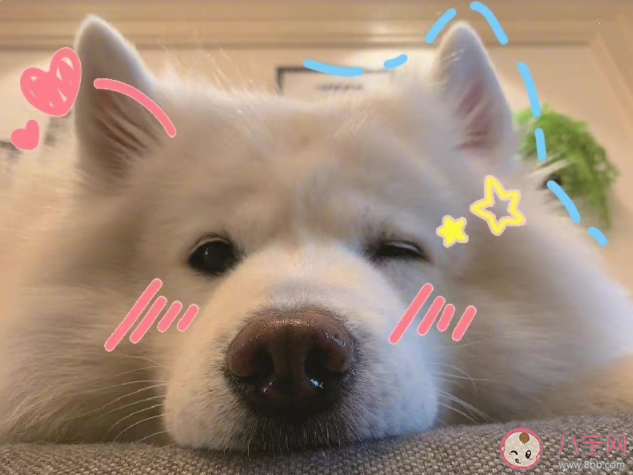 失去分享欲就是不愛了嗎 感情中怎樣找回分享欲