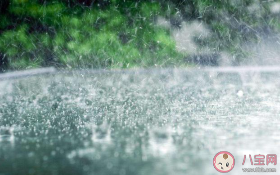 人工降雨方法最早是在哪里發明的 螞蟻莊園8月2日答案最新