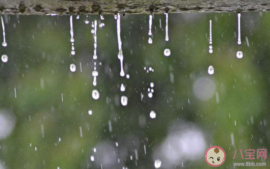 人工降雨方法最早是在哪里發明的 螞蟻莊園8月2日答案最新