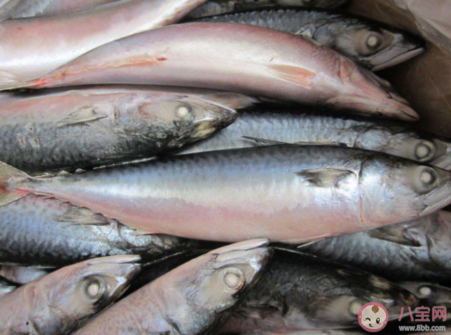 螞蟻莊園海洋魚類的肉都很咸嗎 8月2日正確答案