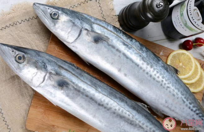 螞蟻莊園海洋魚類的肉都很咸嗎 8月2日正確答案