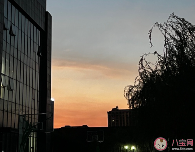 為什么獨生子女一定要結婚 必須要結婚的原因有哪些