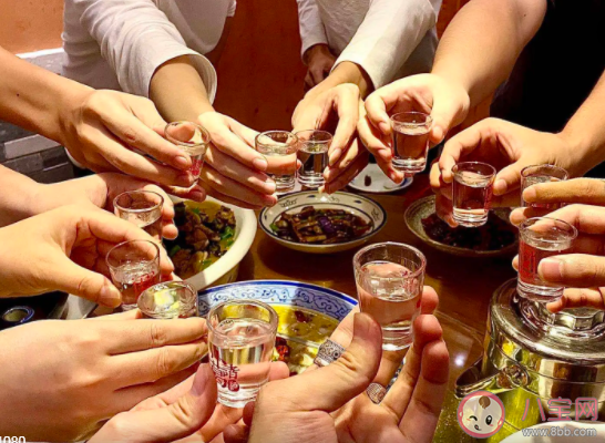 00后如何看待職場酒桌文化 為什么酒桌文化令人討厭