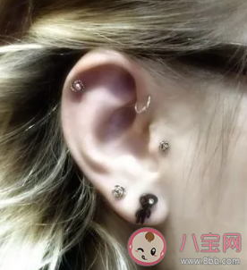 打耳洞有哪些危害 哪些人不能打耳洞 打耳洞有哪些危害 哪些人不能打耳洞